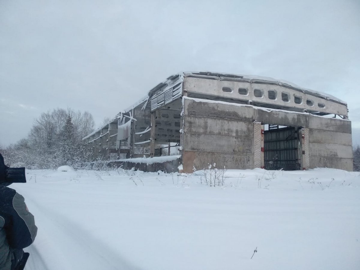 WhatsApp Image 2023-12-30 at 18.22.38(1).jpeg