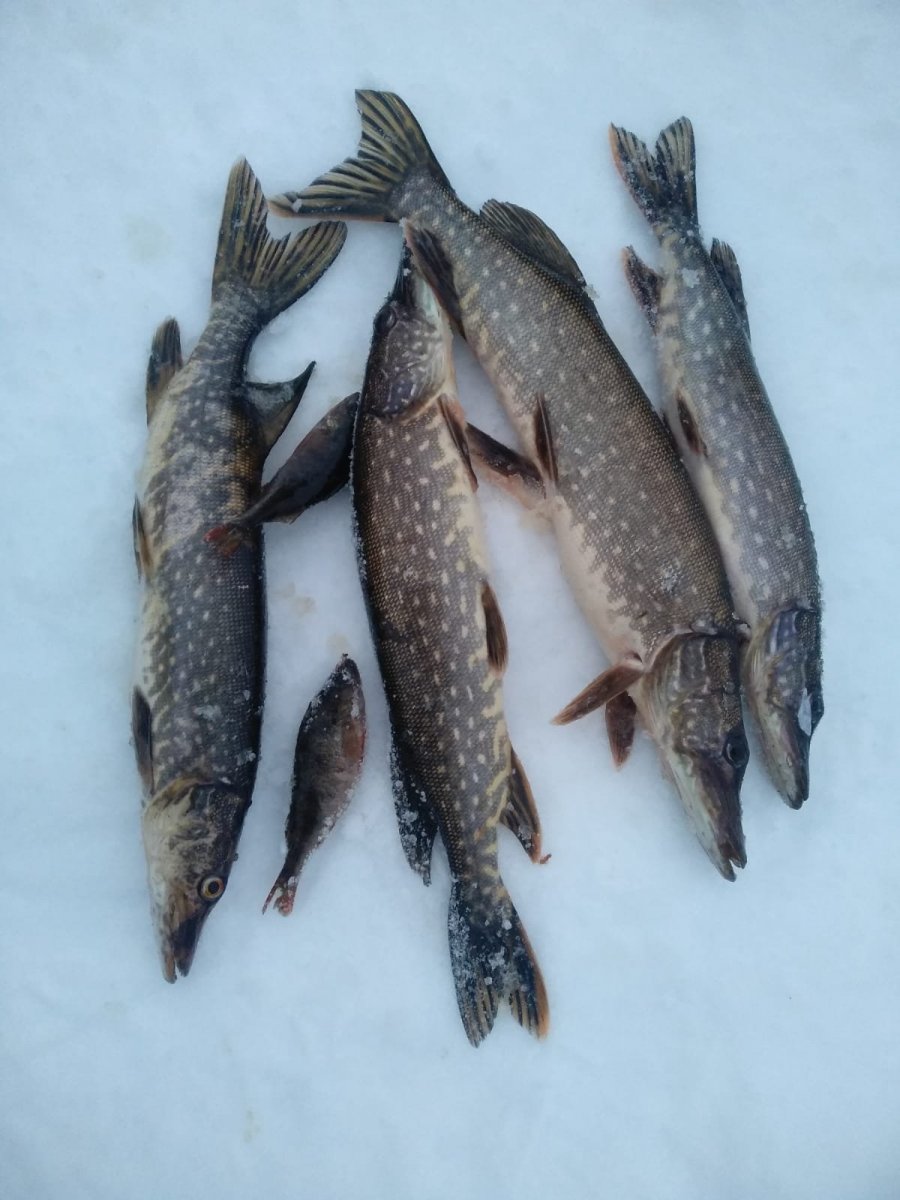 WhatsApp Image 2023-12-22 at 09.59.59.jpeg