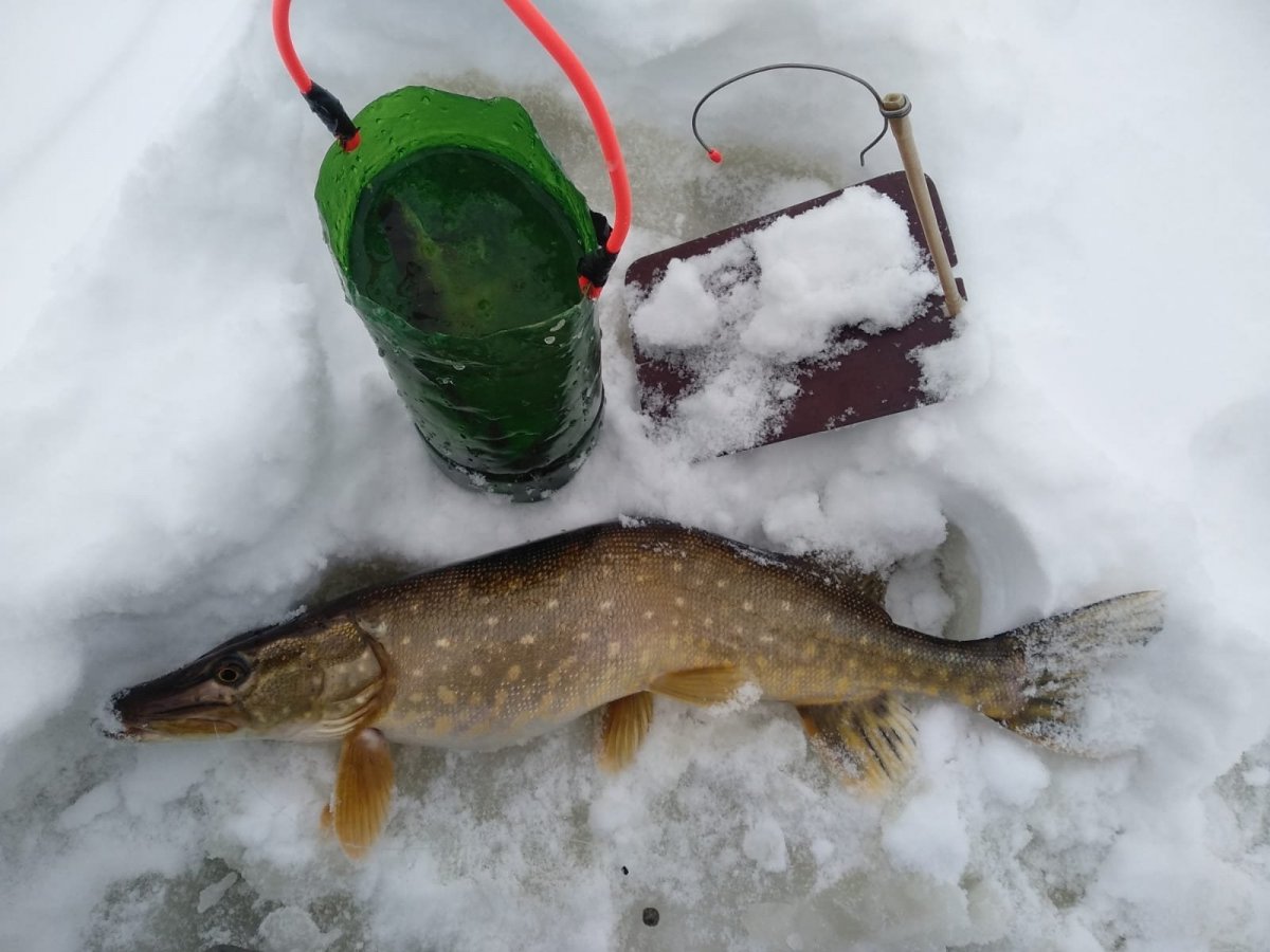 WhatsApp Image 2023-12-27 at 22.20.40(1).jpeg