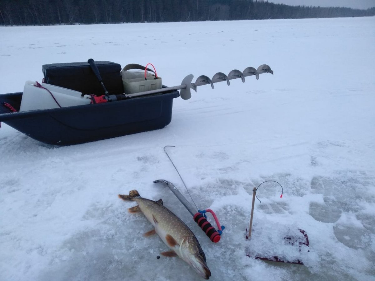 WhatsApp Image 2023-12-25 at 21.21.19(1).jpeg