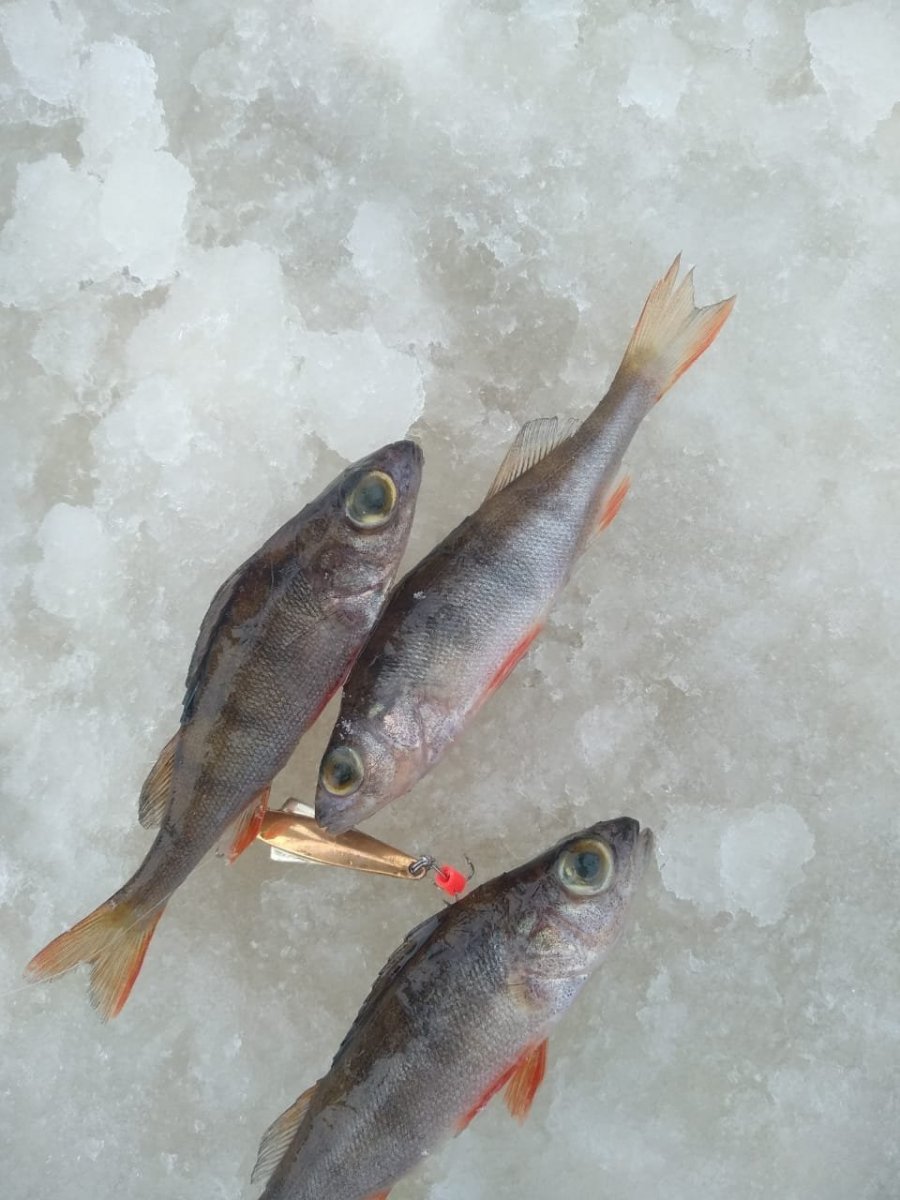 WhatsApp Image 2023-12-30 at 18.22.39.jpeg