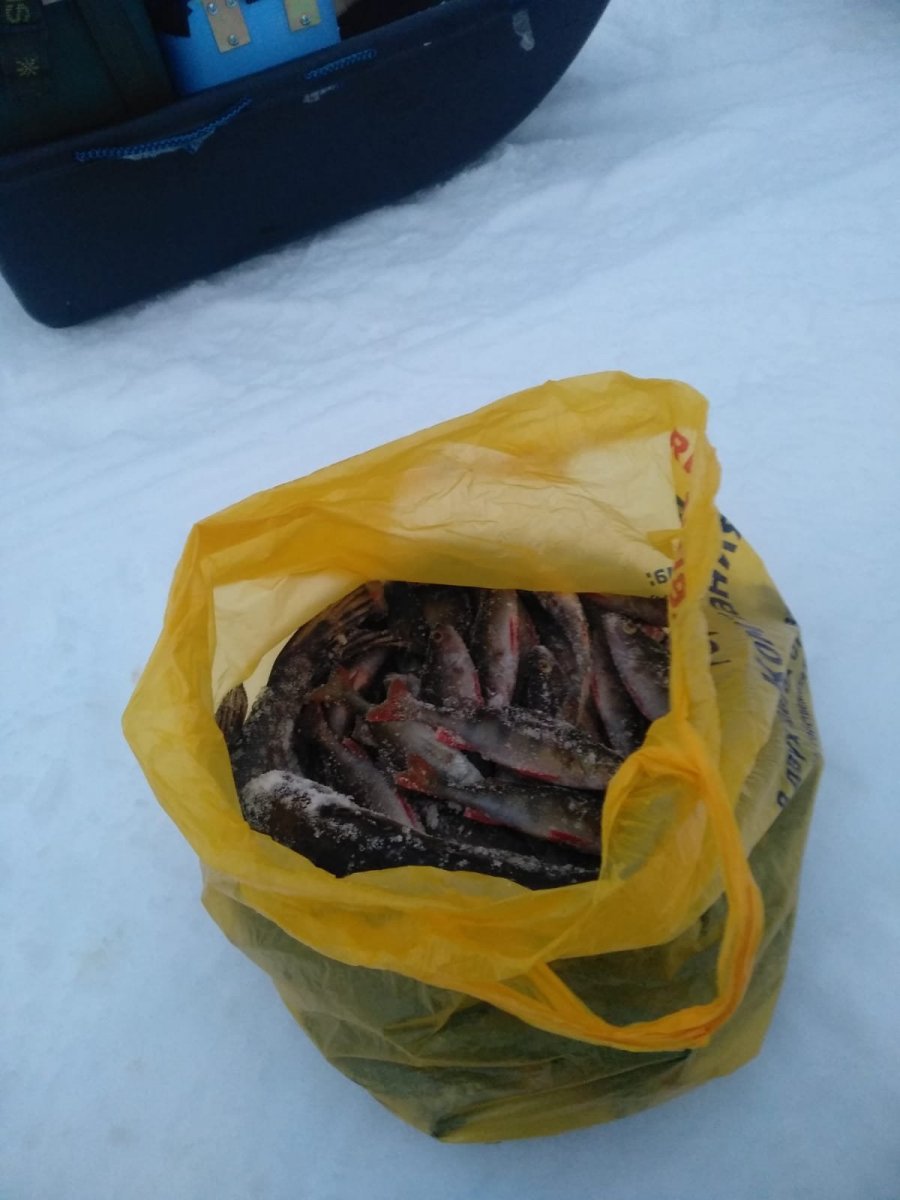 WhatsApp Image 2023-12-22 at 09.59.58.jpeg