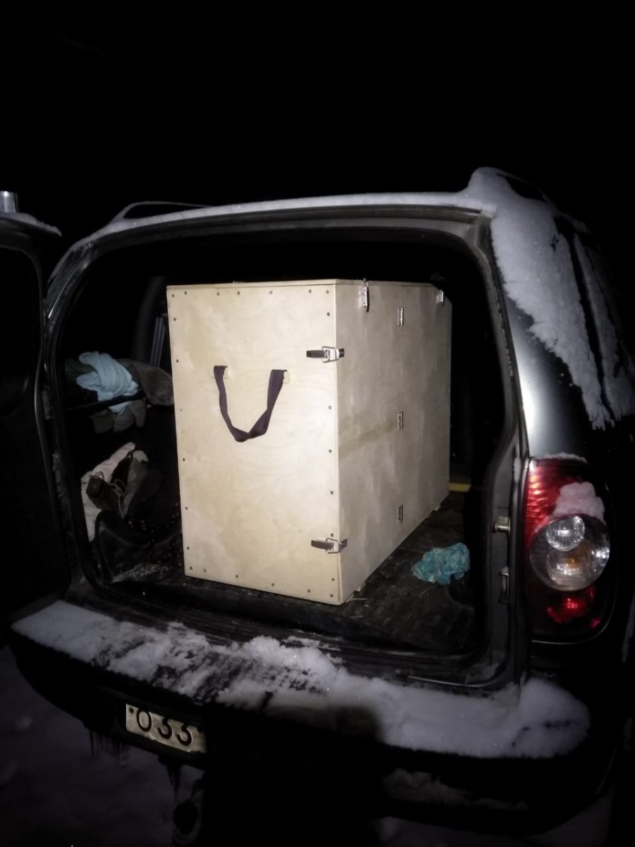 WhatsApp Image 2023-12-12 at 21.31.35.jpeg