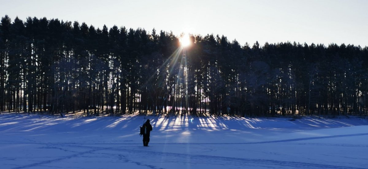 WhatsApp Image 2024-01-08 at 09.21.34111.jpeg