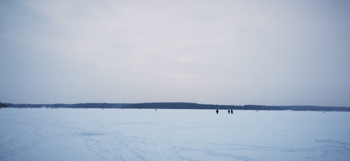 WhatsApp Image 2024-01-08 at 09.21.325.jpeg