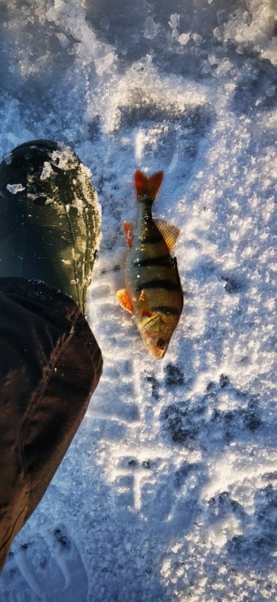 WhatsApp Image 2024-01-08 at 09.25.382.jpeg