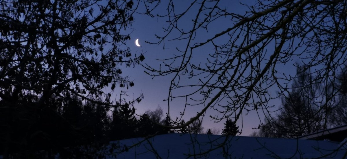 WhatsApp Image 2024-01-08 at 09.21.336.jpeg