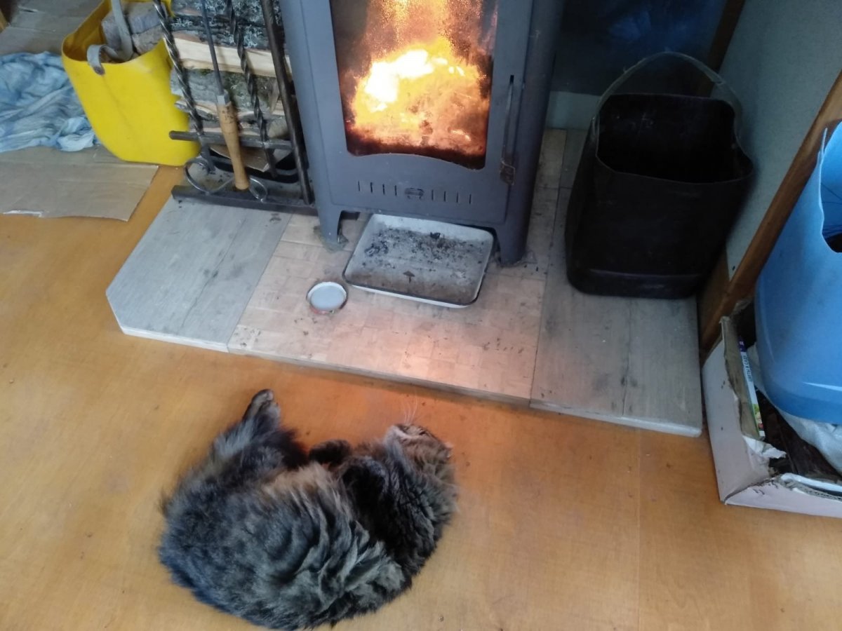 WhatsApp Image 2023-12-27 at 22.20.40.jpeg