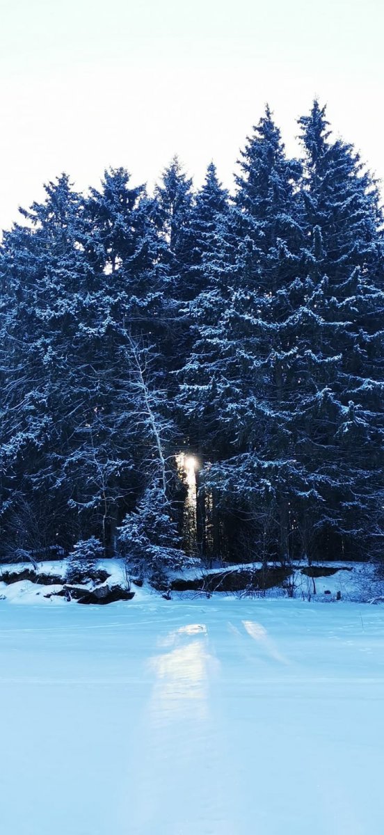 WhatsApp Image 2024-01-08 at 09.21.3410jpeg.jpeg