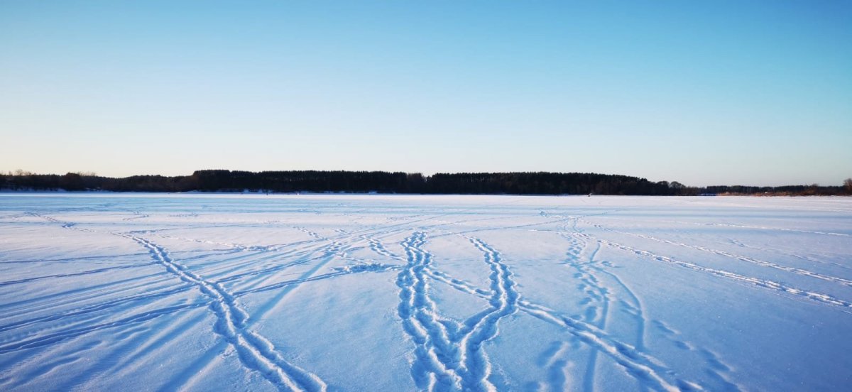 WhatsApp Image 2024-01-08 at 09.21.3411.jpeg