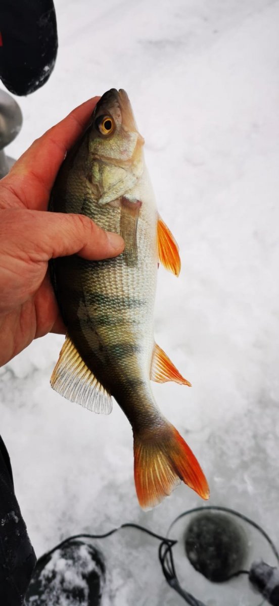 WhatsApp Image 2024-01-08 at 09.21.324.jpeg