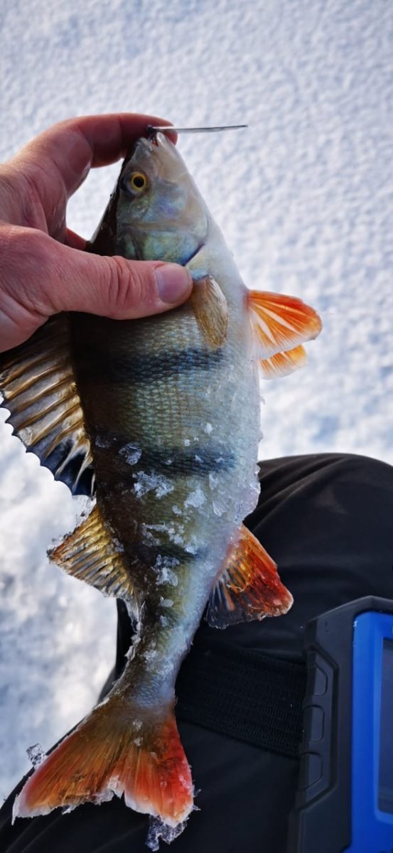 WhatsApp Image 2024-01-08 at 09.25.383.jpeg