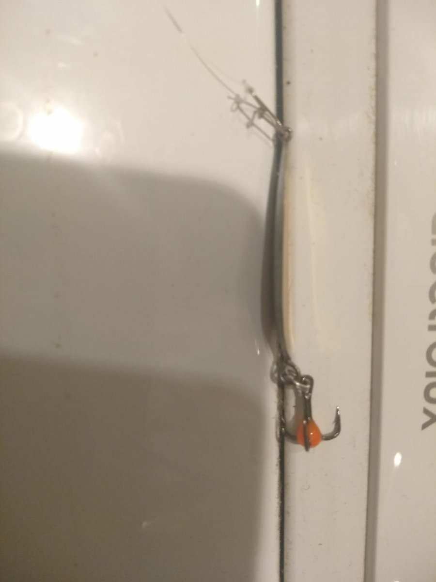 WhatsApp Image 2024-01-17 at 23.28.58(1).jpeg