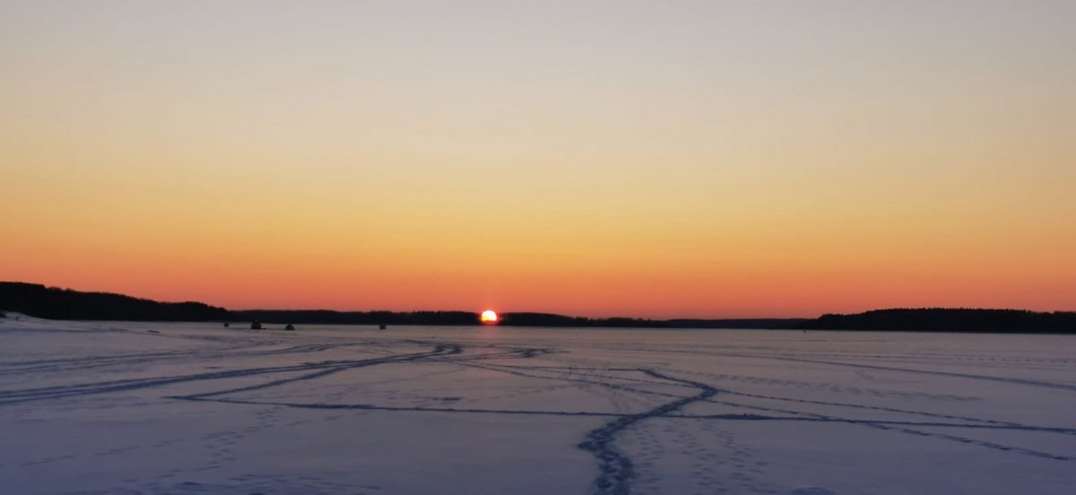 WhatsApp Image 2024-01-08 at 09.21.348.jpeg