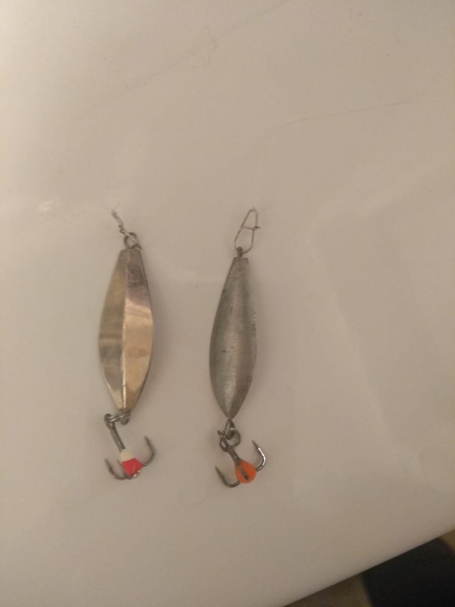 WhatsApp Image 2024-01-17 at 23.28.59.jpeg