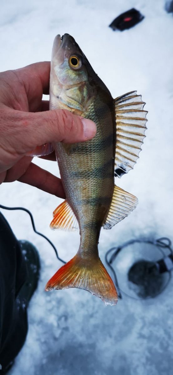 WhatsApp Image 2024-01-08 at 09.21.30.jpeg