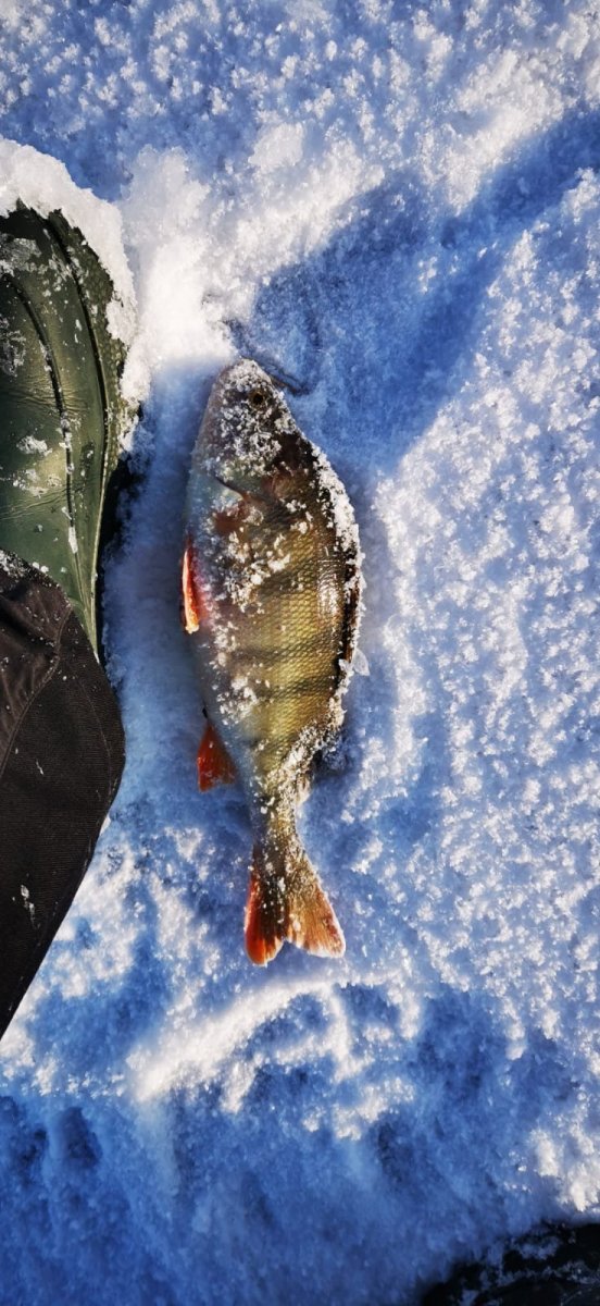 WhatsApp Image 2024-01-08 at 09.25.394.jpeg