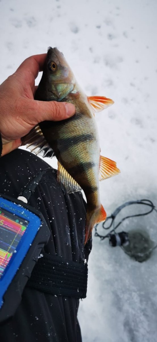 WhatsApp Image 2024-01-08 at 09.21.301.jpeg