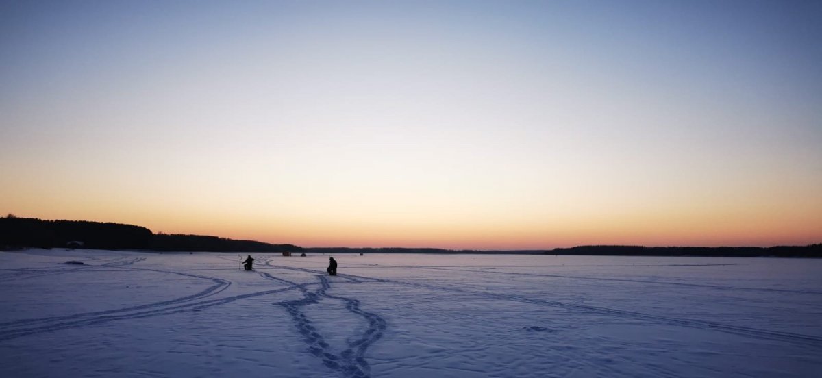 WhatsApp Image 2024-01-08 at 09.21.337.jpeg