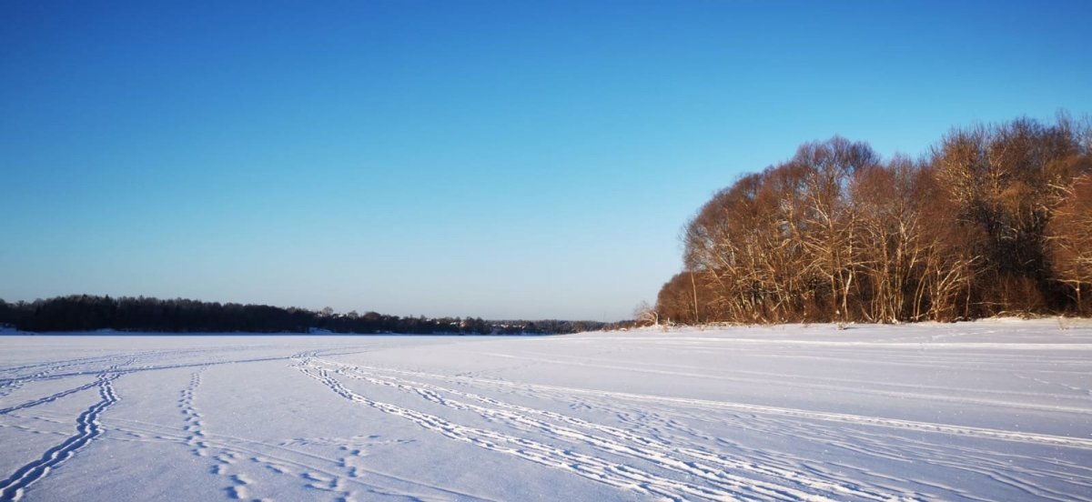 WhatsApp Image 2024-01-08 at 09.21.339.jpeg