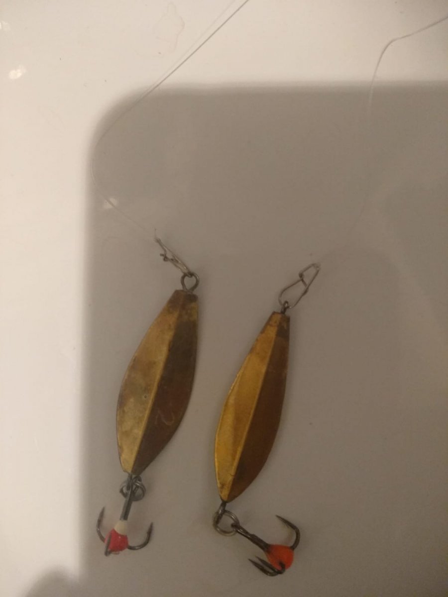 WhatsApp Image 2024-01-17 at 23.28.59(1).jpeg