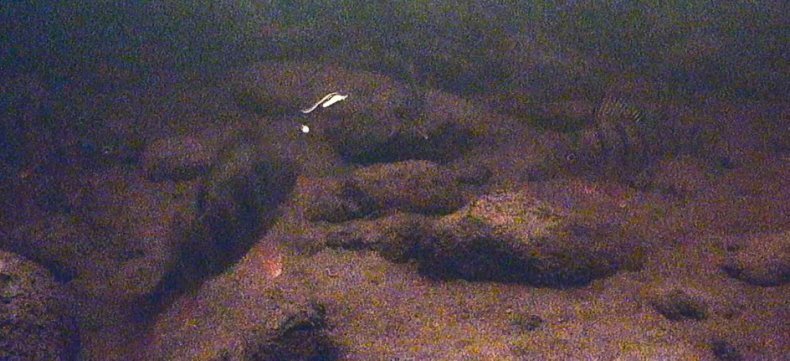 scale_1200.jpg.b5371179c3b8cde149c5f134add07033.jpg