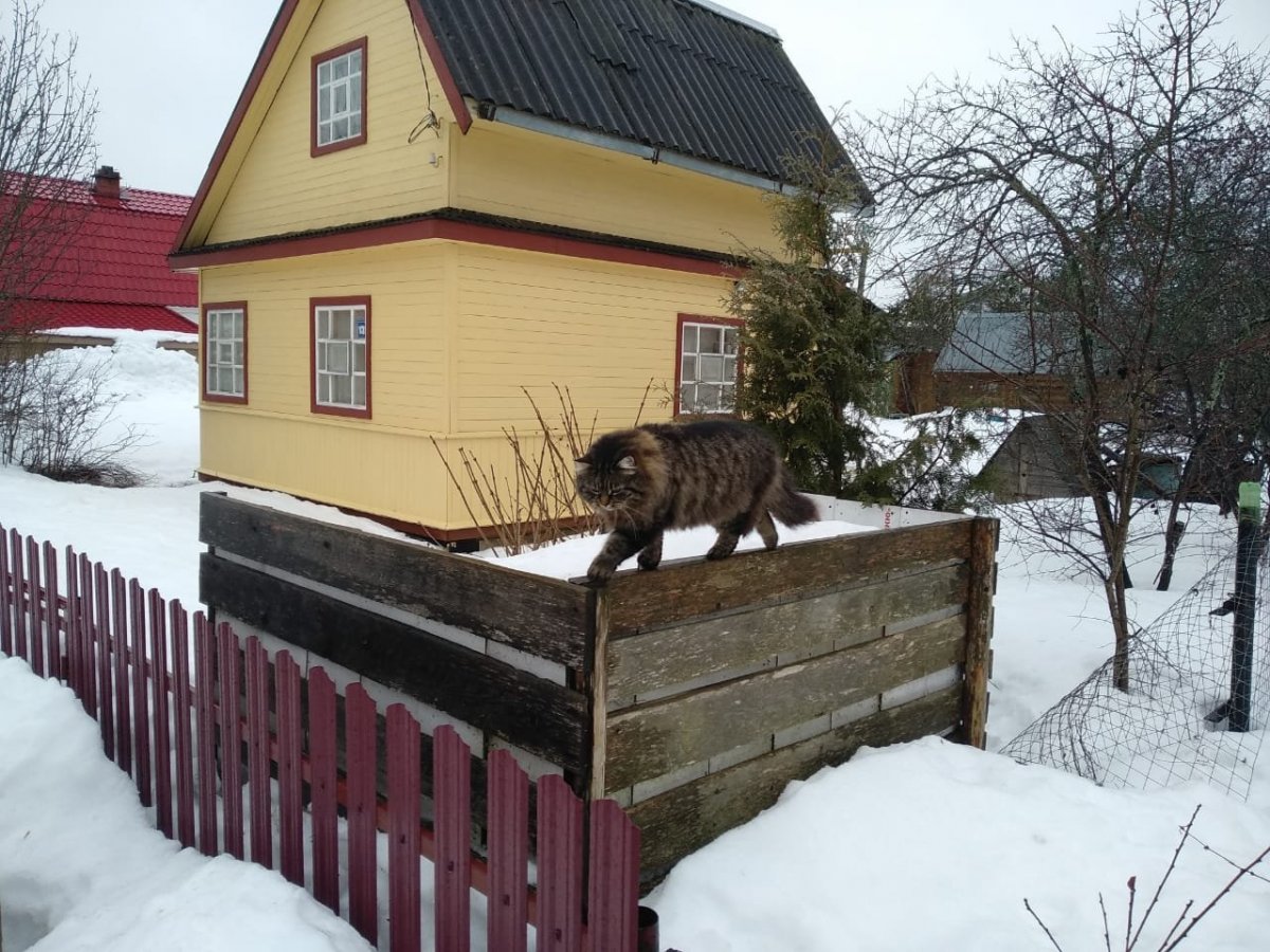 WhatsApp Image 2024-02-27 at 17.33.12.jpeg