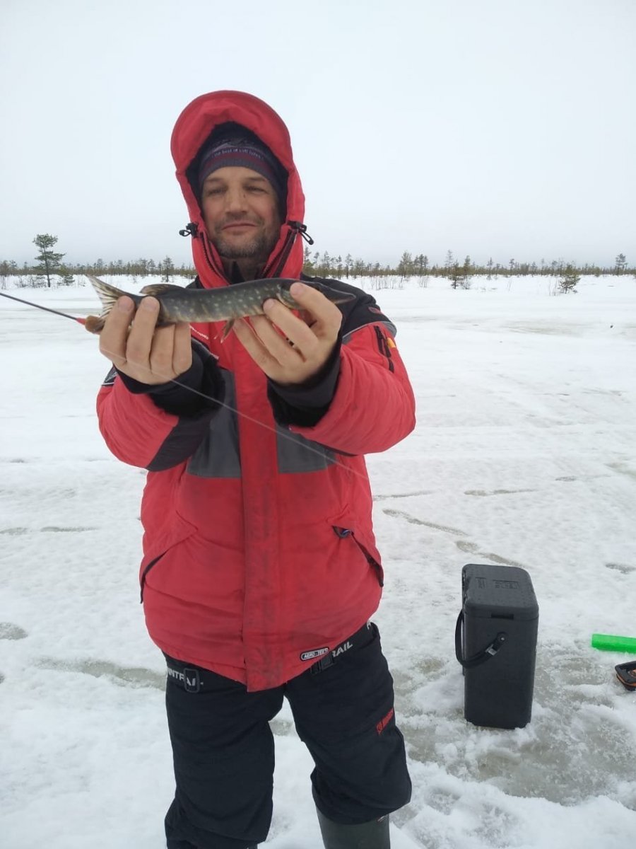 WhatsApp Image 2024-02-01 at 21.01.38.jpeg