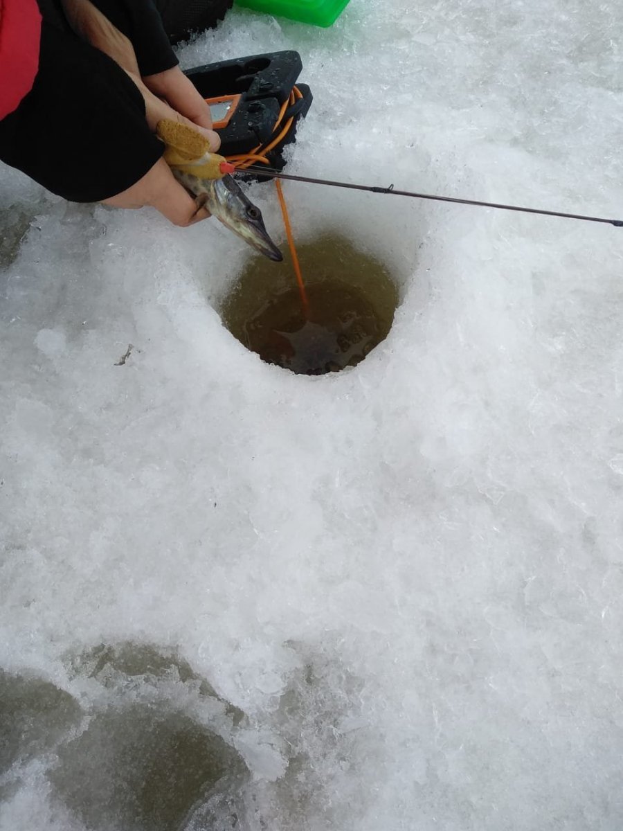 WhatsApp Image 2024-02-01 at 21.01.37(1).jpeg