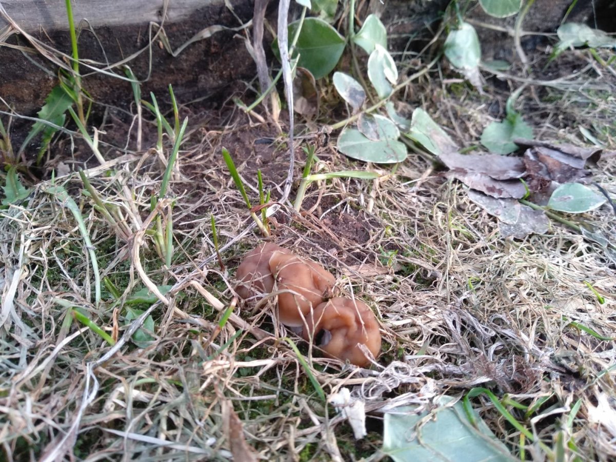 WhatsApp Image 2024-03-31 at 19.27.47(1).jpeg