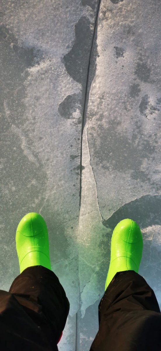 WhatsApp Image 2024-03-31 at 11.43.22 AM02.jpeg