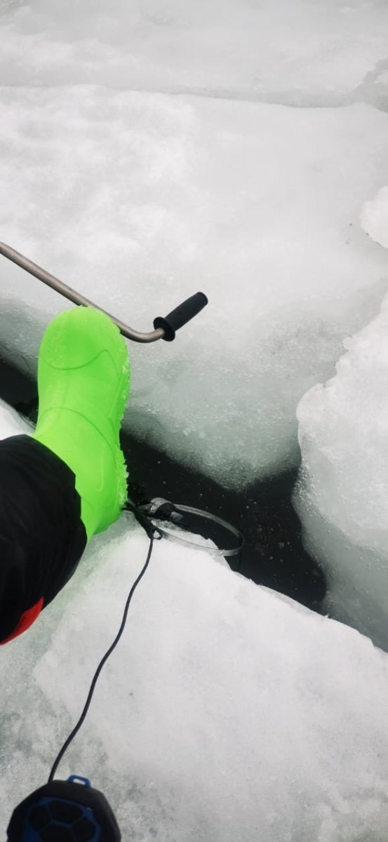 WhatsApp Image 2024-03-31 at 11.43.22 AM11.jpeg