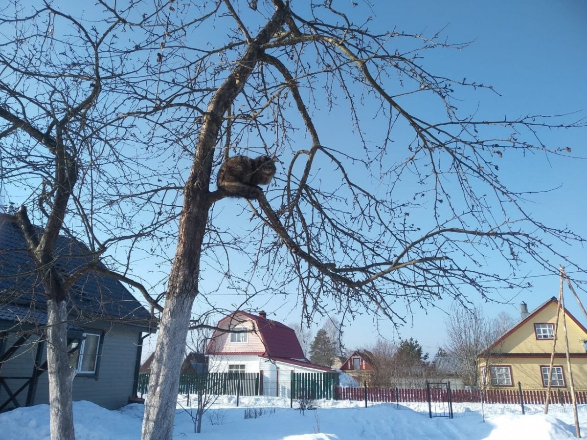 WhatsApp Image 2024-03-05 at 21.22.33.jpeg