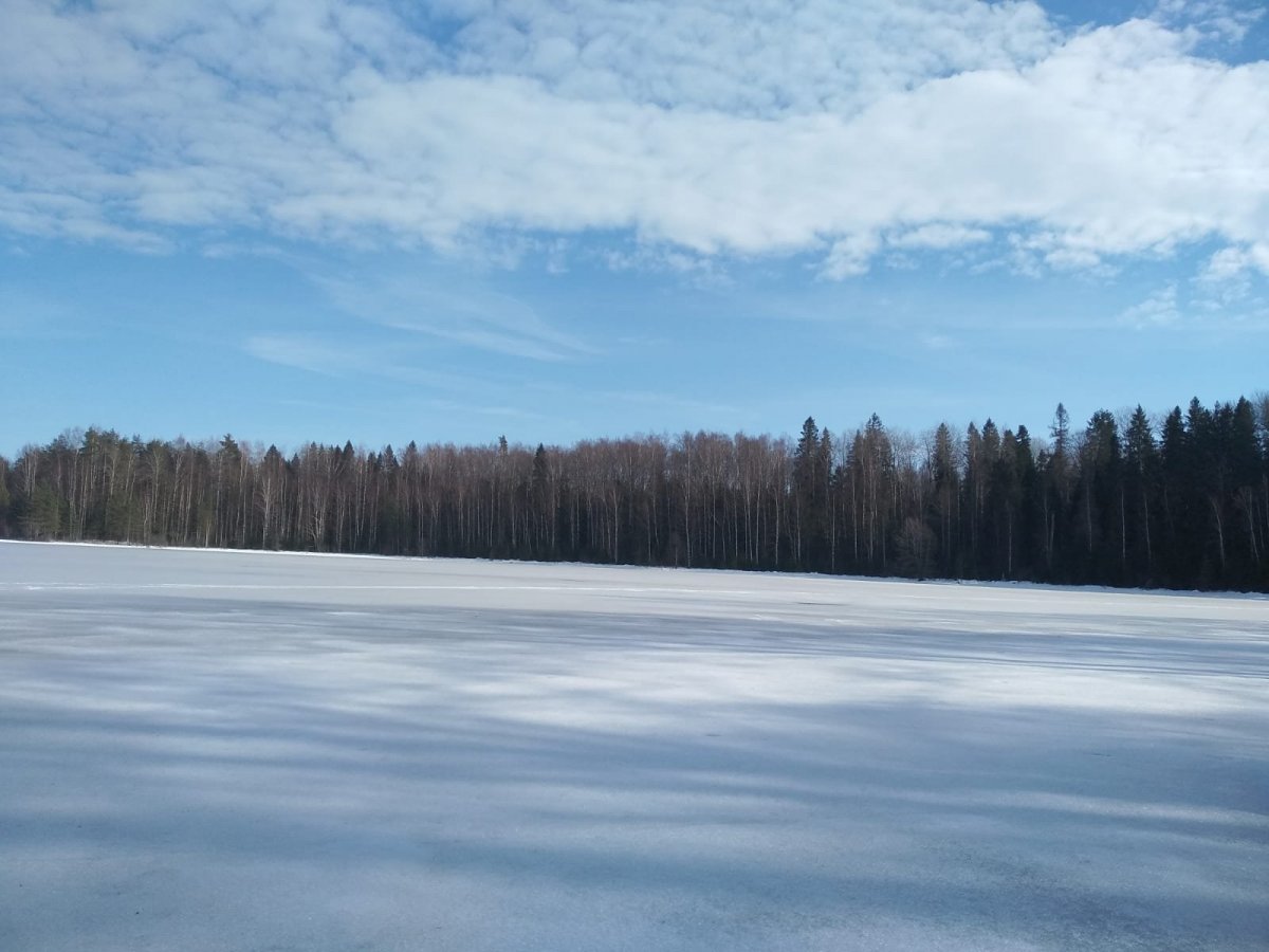 WhatsApp Image 2024-03-16 at 20.56.57.jpeg