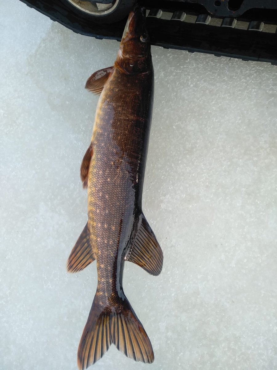 WhatsApp Image 2024-03-16 at 20.57.02.jpeg