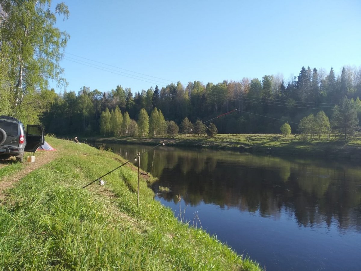 WhatsApp Image 2024-05-21 at 07.37.20.jpeg