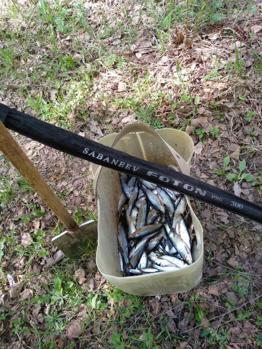 WhatsApp Image 2024-05-21 at 07.37.22.jpeg