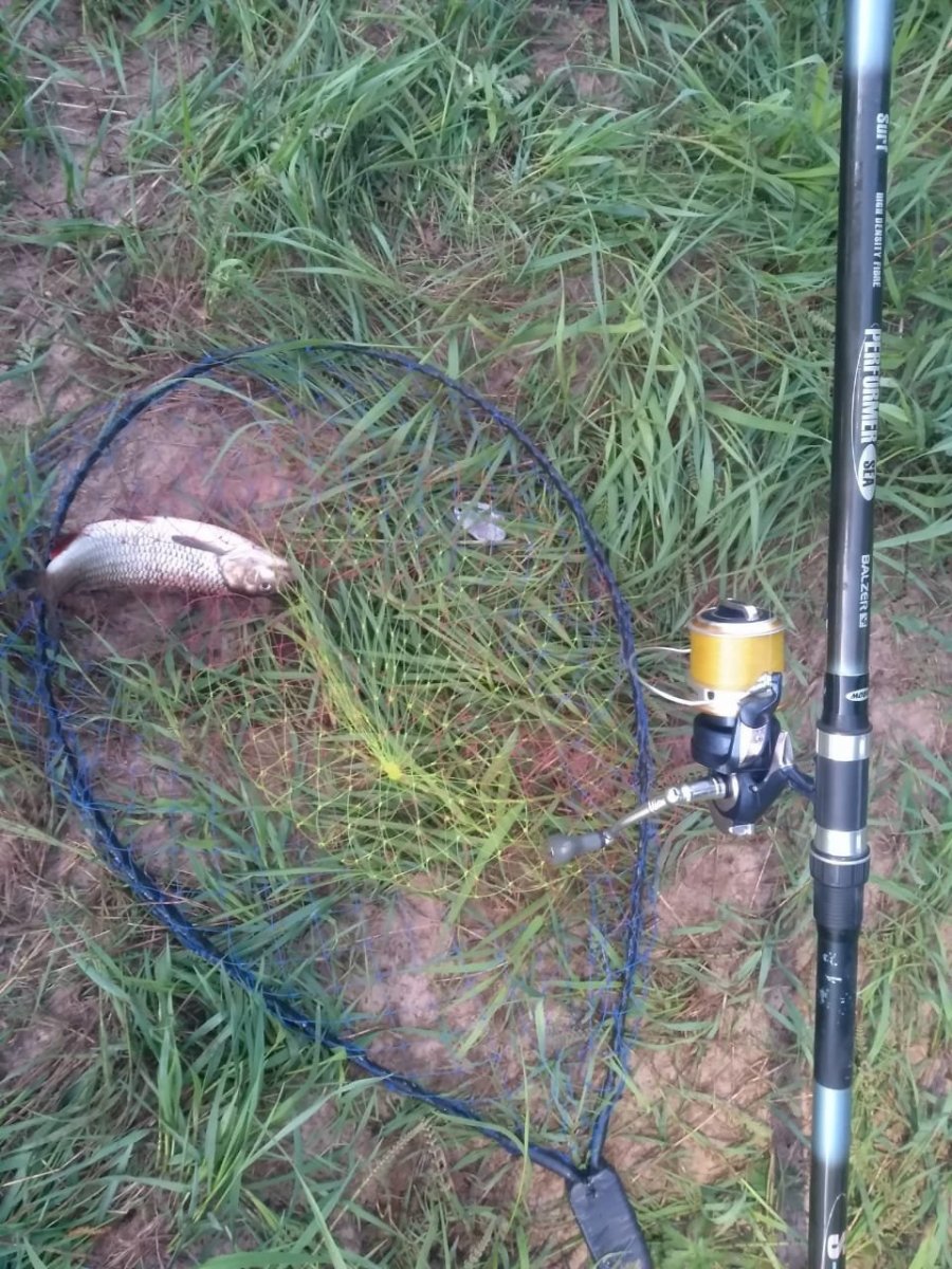 WhatsApp Image 2024-05-21 at 07.37.21(1).jpeg