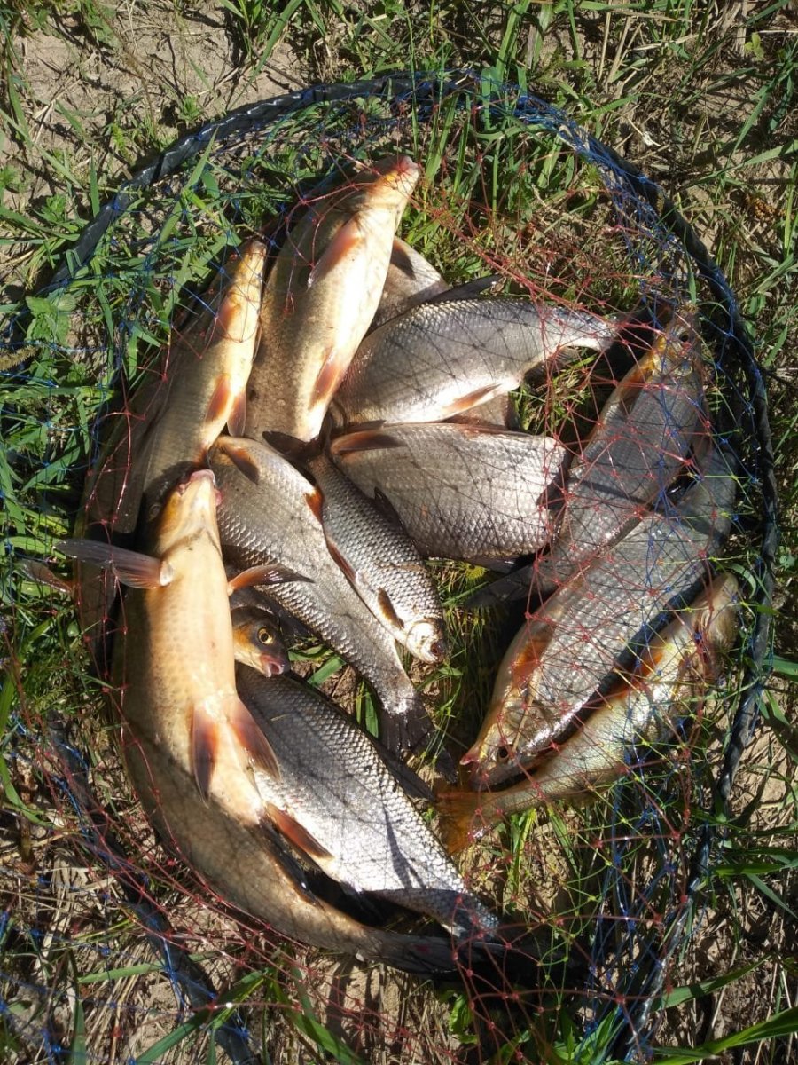 WhatsApp Image 2024-05-21 at 07.37.15.jpeg