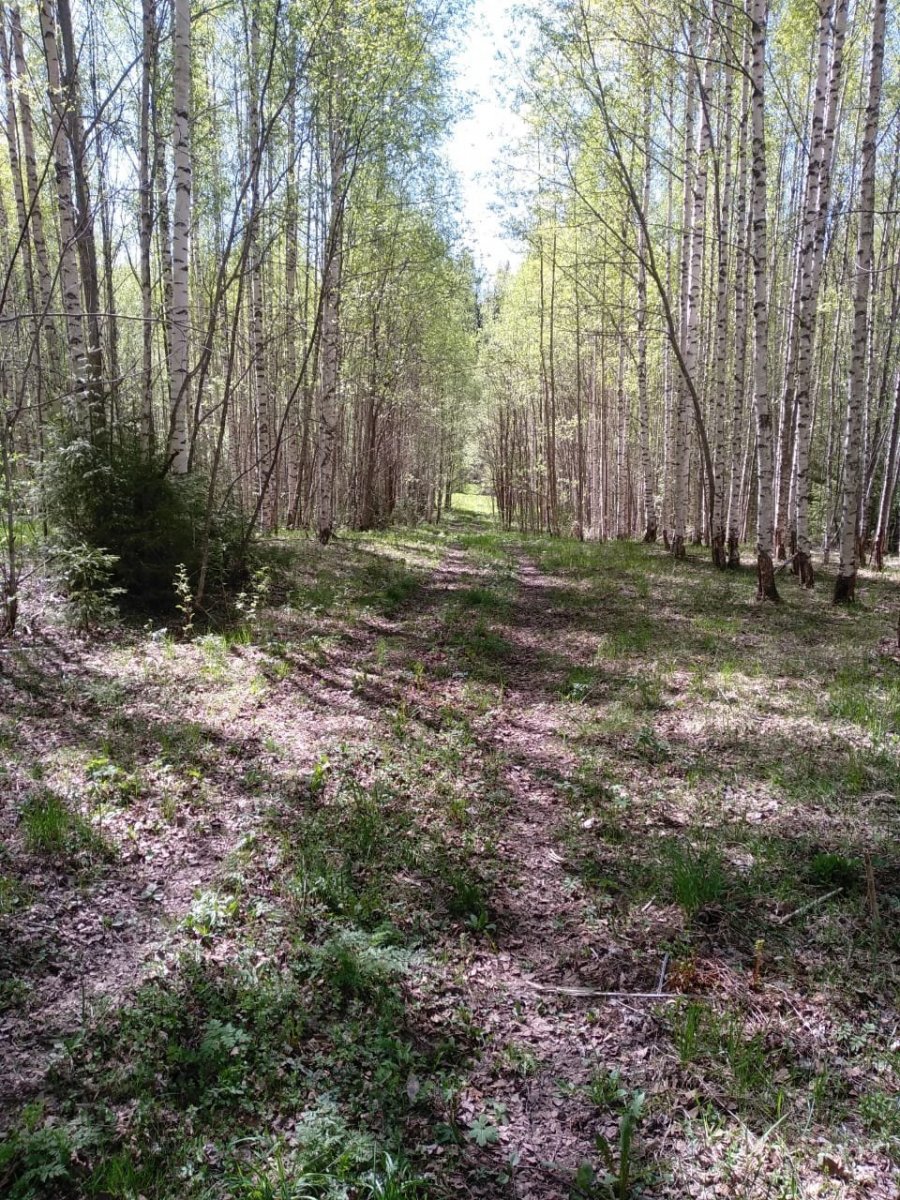 WhatsApp Image 2024-05-21 at 07.37.22(2).jpeg