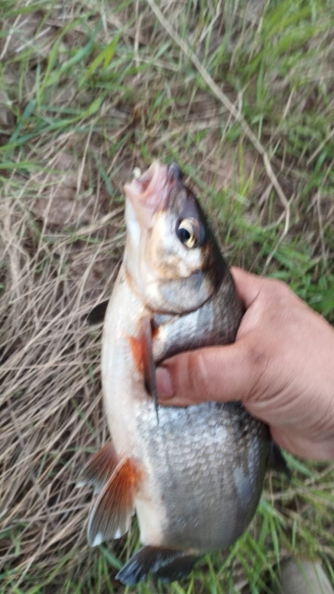 WhatsApp Image 2024-05-21 at 07.34.05.jpeg