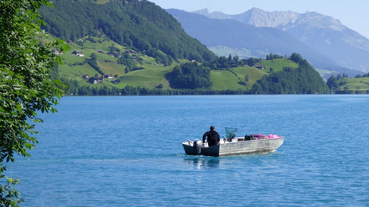 Fischen-am-Lungerersee-Fischerparadies.thumb.jpg.313f574b0034fbc231f58004e127bfe3.jpg