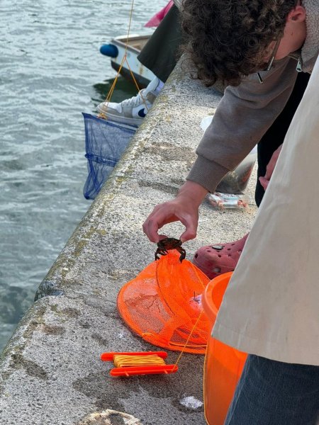 Ловят крабов