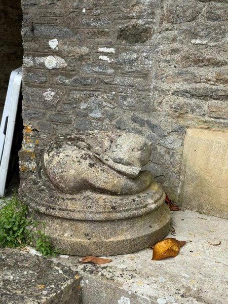 Даррингтон холл