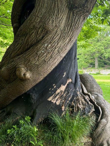 Даррингтон холл