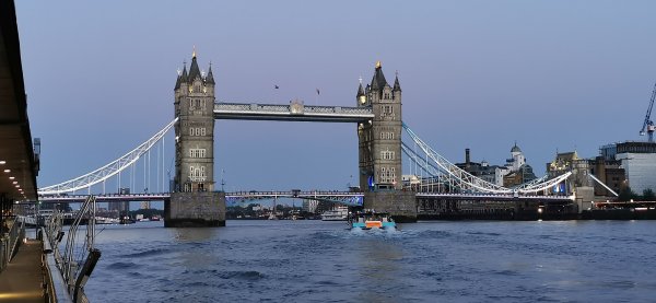 Известный вид