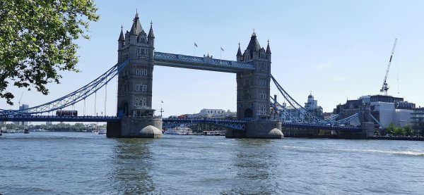 Известный вид