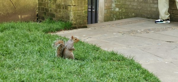 Опять она, пил, каюсь