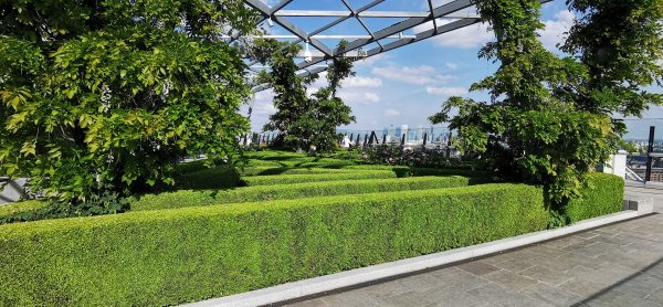 Сад на верху небоскреба