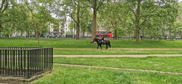 Утром в Гайд парке не только бегают и гоняют на великах, но и по специальным дорожкам катаются на лошадях